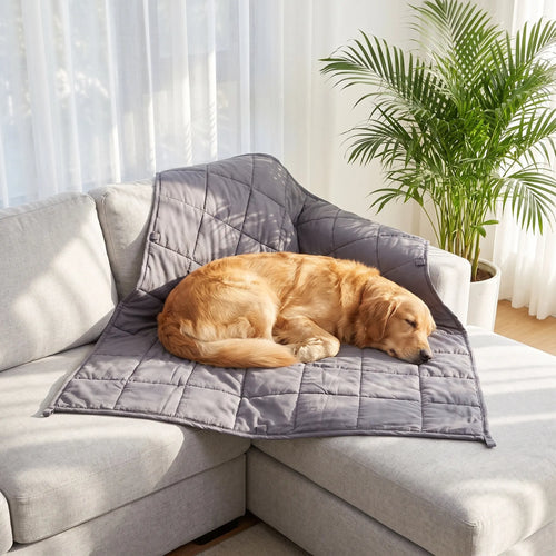 Calming Weighted Pet Blanket — anxiety relief blanket for dogs