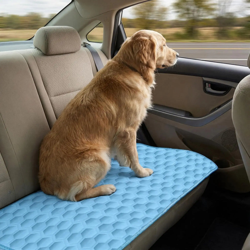 Dog Cooling Mat — pressure-activated gel cooling pad, no refrigeration