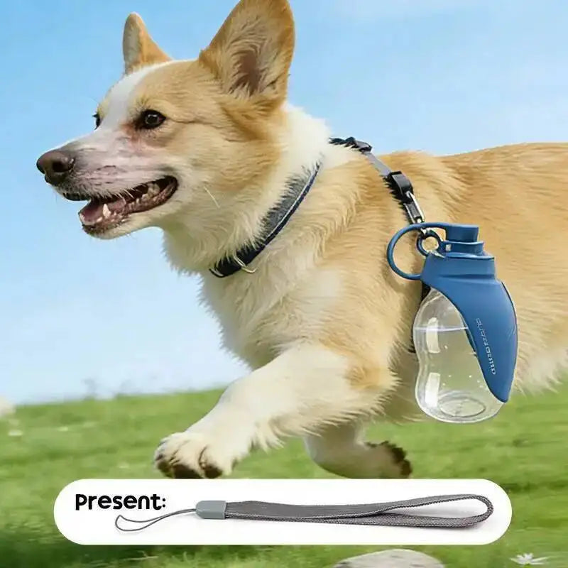 Collapsible Travel Water Bottle — portable hydration for dogs